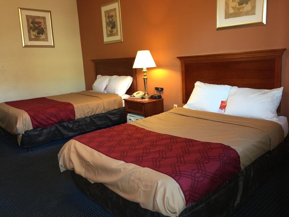 Red Carpet Inn נורווק מראה חיצוני תמונה