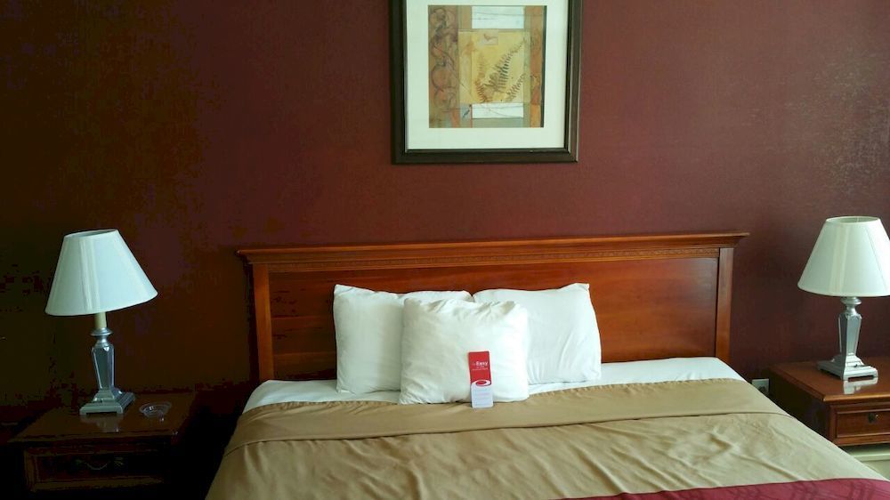 Red Carpet Inn נורווק מראה חיצוני תמונה