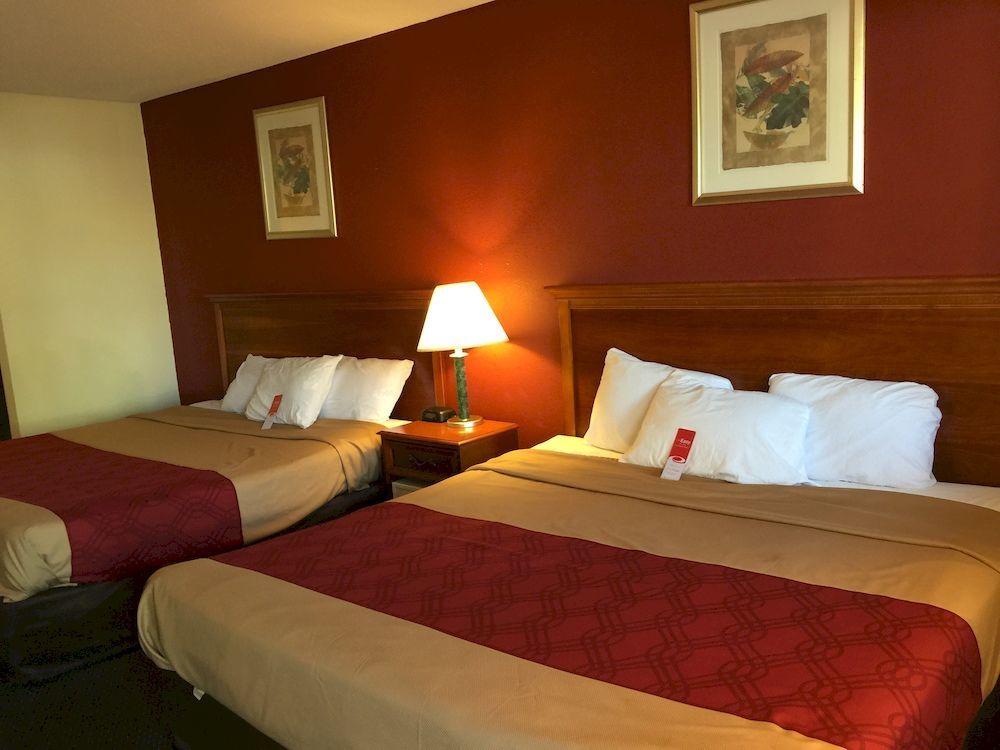 Red Carpet Inn נורווק מראה חיצוני תמונה